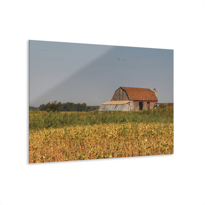 U R There Photography Slattery Road Saltbox Grey Rustic Farmhouse Acrylic Wall Print