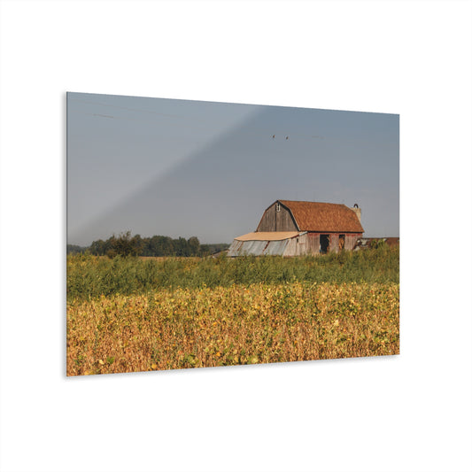 U R There Photography Slattery Road Saltbox Grey Rustic Farmhouse Acrylic Wall Print
