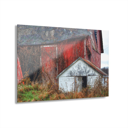U R There Photography German Road Forgotten Red II Rustic Farmhouse Acrylic Wall Print