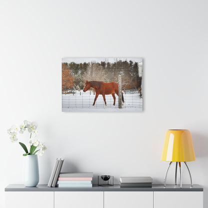 U R There Photography Roadside Chestnut Rustic Farmhouse Acrylic Wall Print