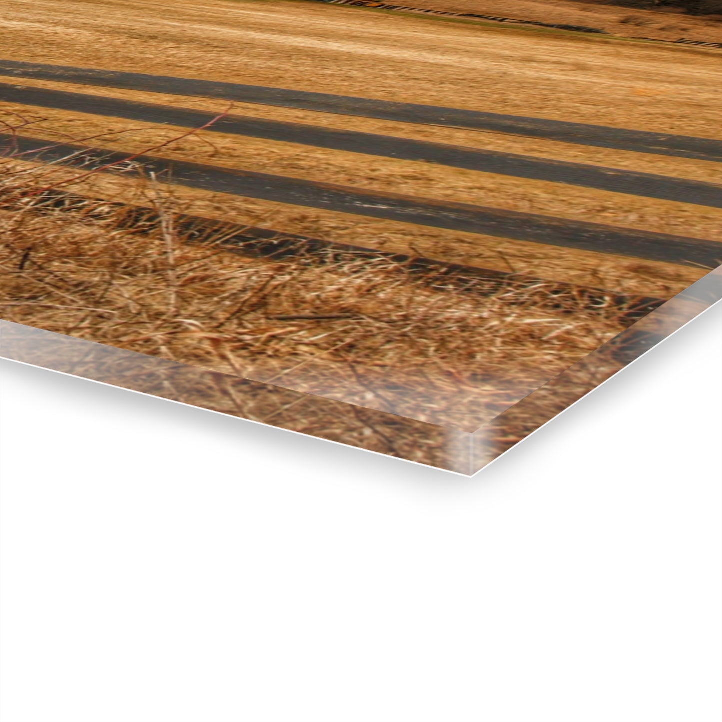 U R There Photography Green Barns and Broken Fences Rustic Farmhouse Acrylic Wall Print