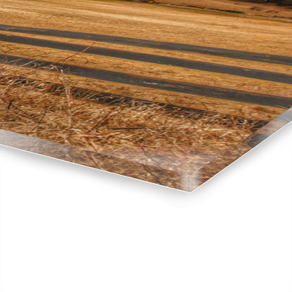 U R There Photography Green Barns and Broken Fences Rustic Farmhouse Acrylic Wall Print