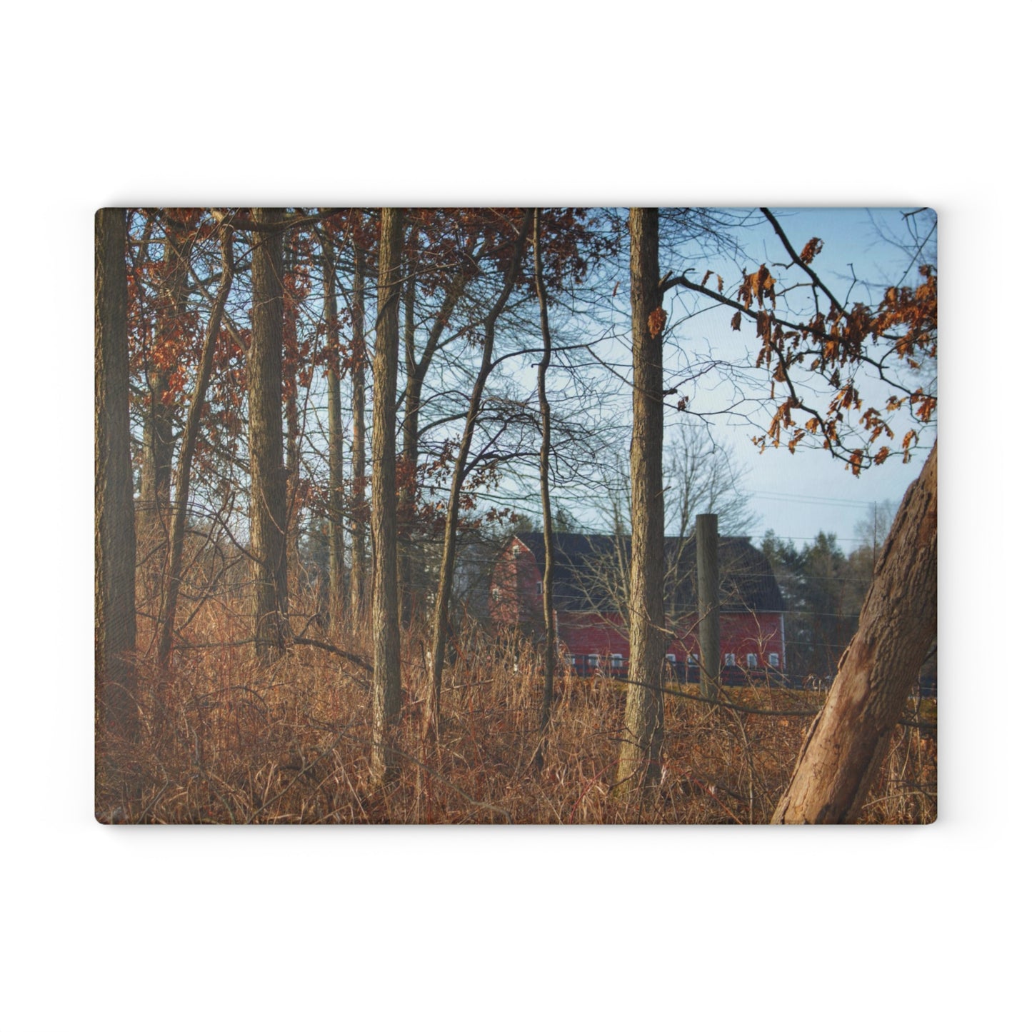 U R There Photography Blood Road Red II Rustic Farmhouse Tempered-Glass Cutting Board