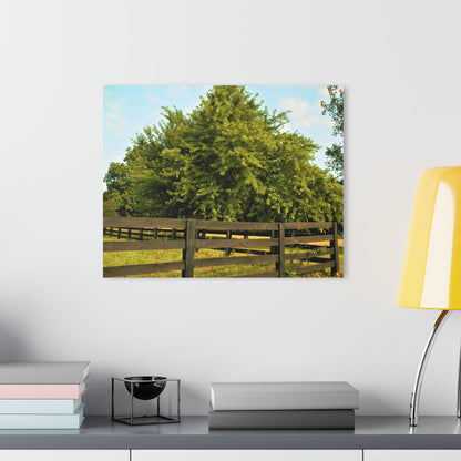 U R There Photography Country Fence and Tree in Metamora Rustic Farmhouse Acrylic Wall Print