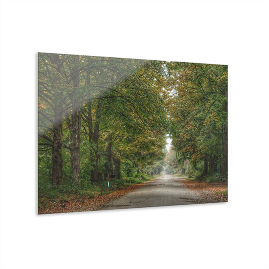 U R There Photography Country Roads in Millington Rustic Farmhouse Acrylic Wall Print