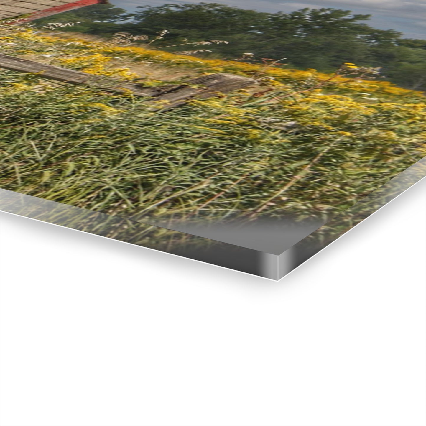 U R There Photography Nettney Road Red Rustic Farmhouse Acrylic Wall Print