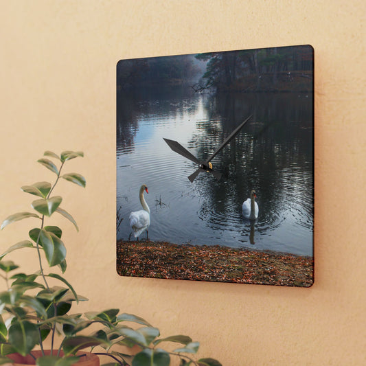 U R There Photography Swans of Duck Lake I Rustic Farmhouse Acrylic Analog Wall Clock