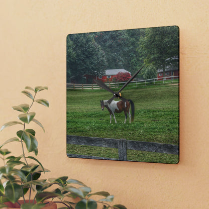 U R There Photography Painted Pony in Pasture Rustic Farmhouse Acrylic Analog Wall Clock