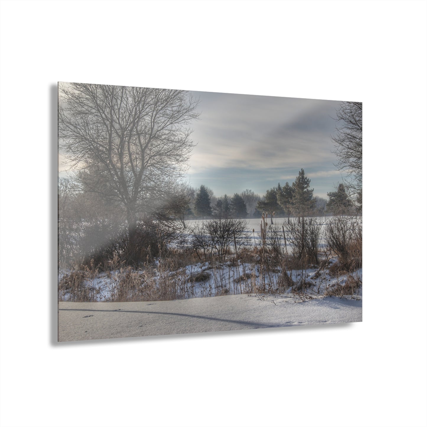 U R There Photography Winter in Mayfield Rustic Farmhouse Acrylic Wall Print