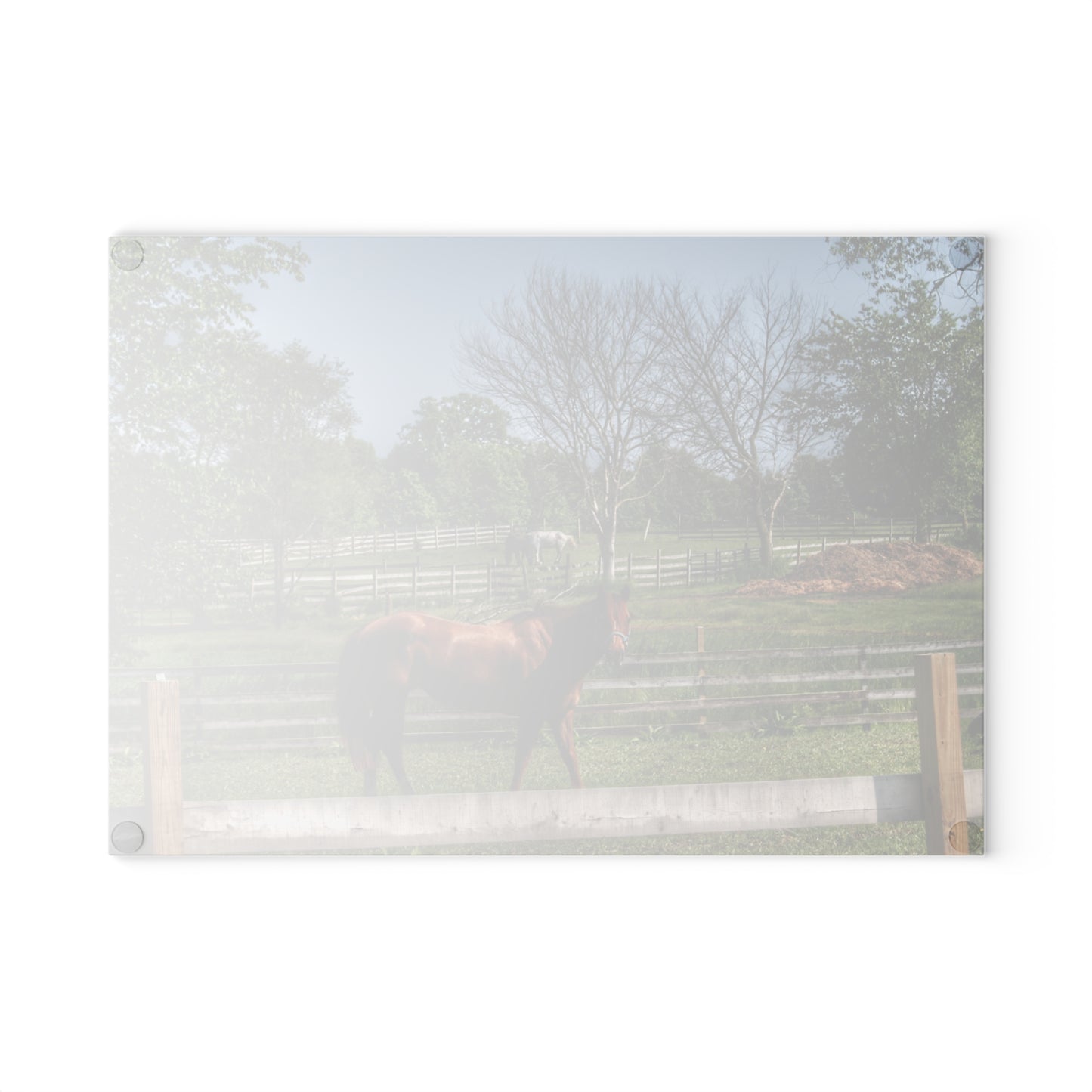 U R There Photography Summer Road Ponies Rustic Farmhouse Tempered-Glass Cutting Board