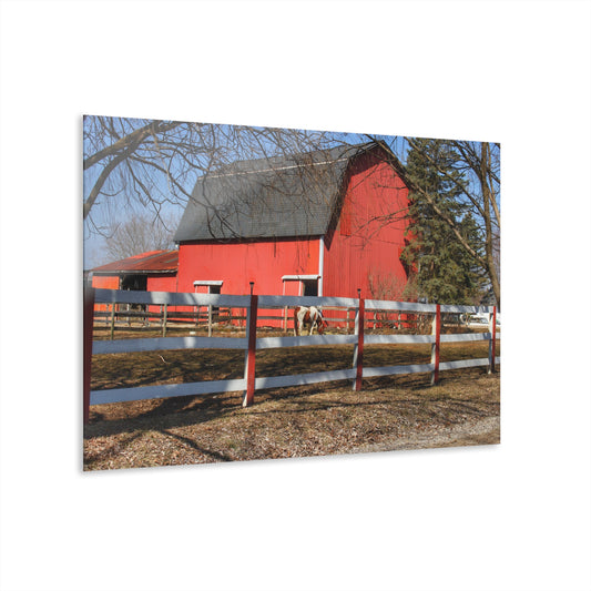 U R There Photography Wolcott Red and Filly Rustic Farmhouse Acrylic Wall Print