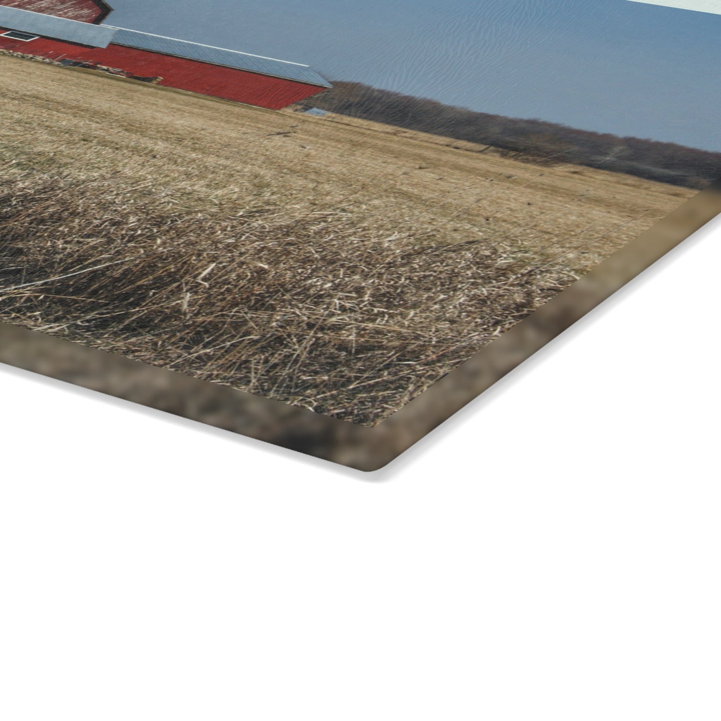 U R There Photography Romeo Plank Road Reds II Rustic Farmhouse Tempered-Glass Cutting Board