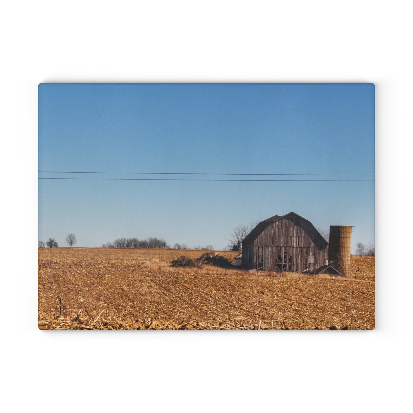 U R There Photography Hurd Corners Road Grey Rustic Farmhouse Tempered-Glass Cutting Board