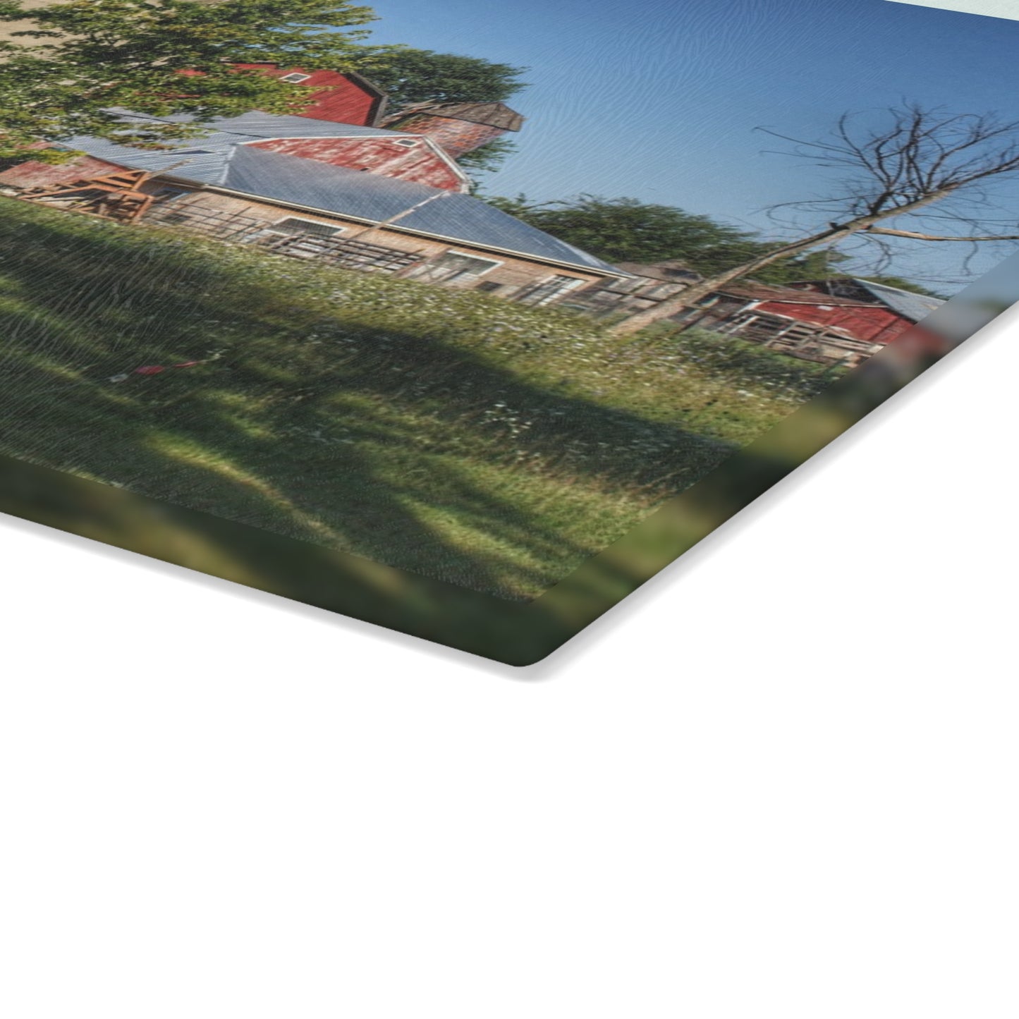 U R There Photography Tody Road Reds Rustic Farmhouse Tempered-Glass Cutting Board
