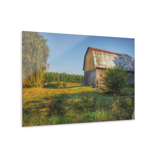 U R There Photography Snover Golden Grey Rustic Farmhouse Acrylic Wall Print