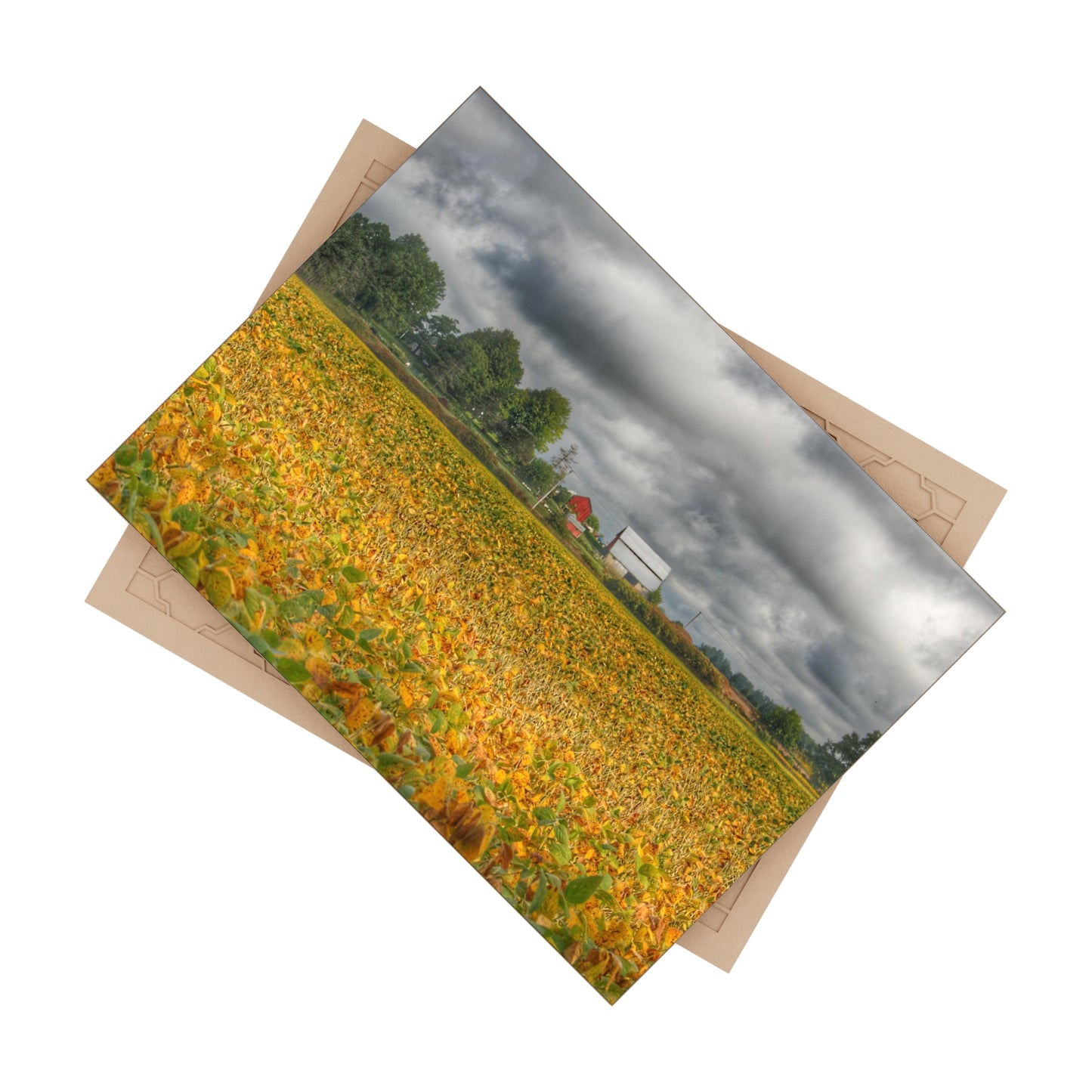 U R There Photography Golden Fields Farm Rustic Farmhouse Decorative Ceramic Tile