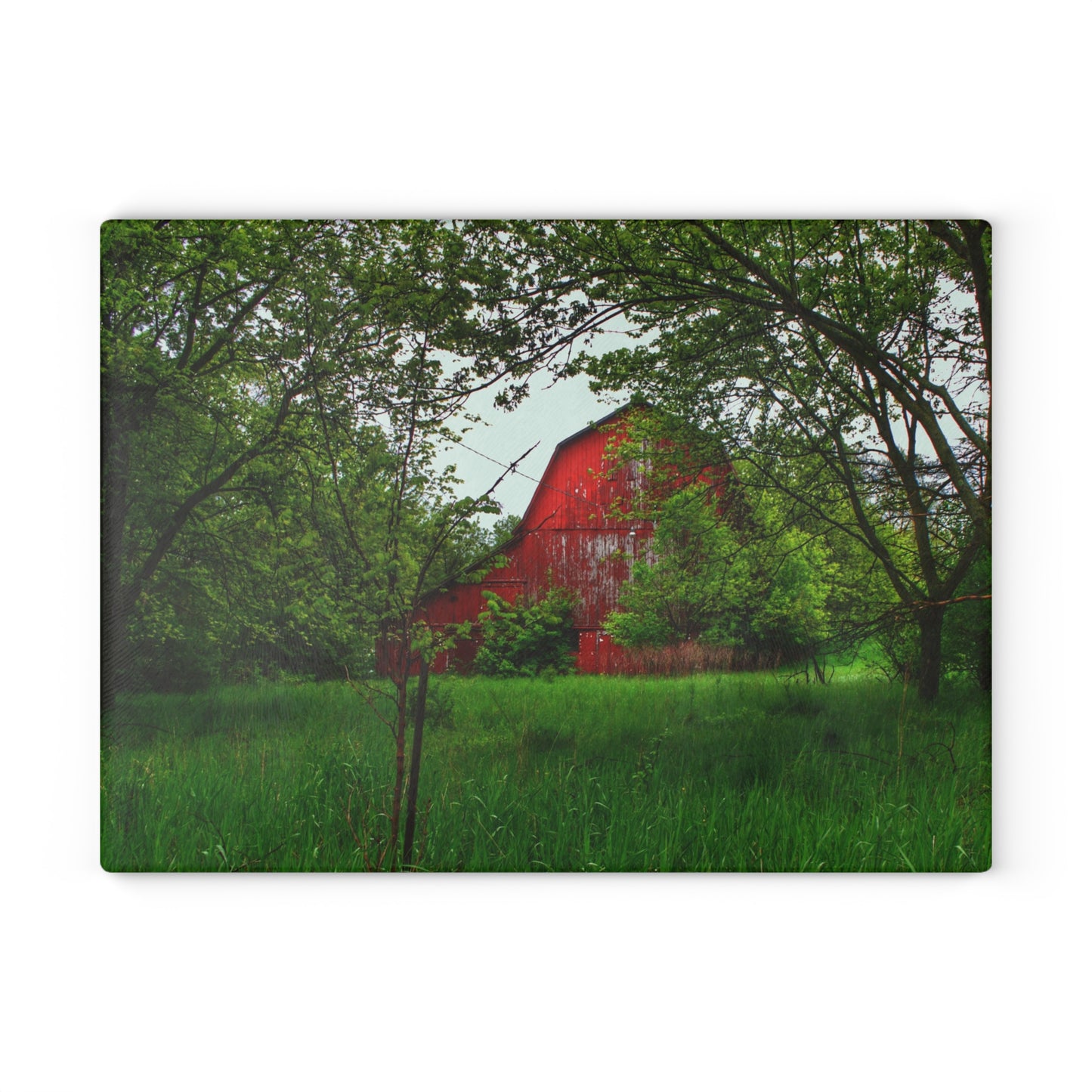 U R There Photography Bird Road Red Rustic Farmhouse Tempered-Glass Cutting Board