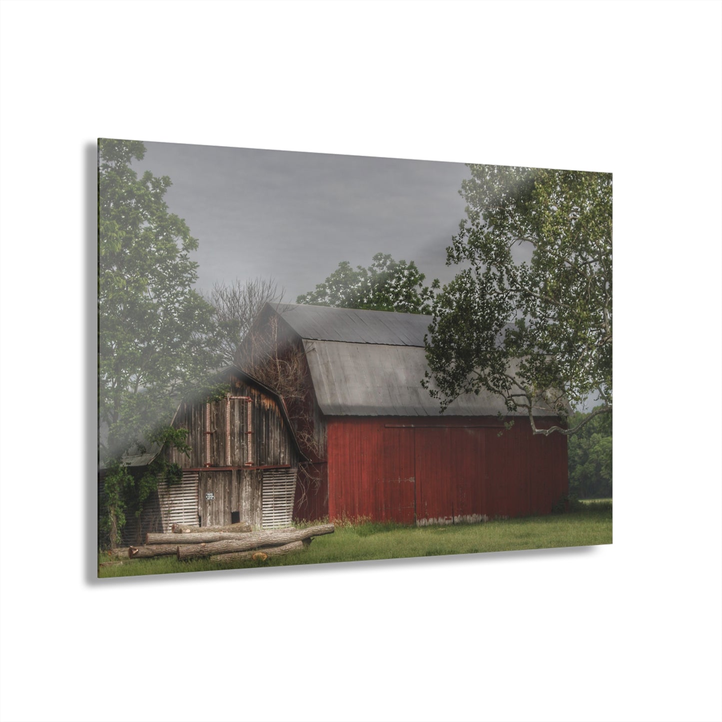 U R There Photography Barkley Road Buddies Rustic Farmhouse Acrylic Wall Print