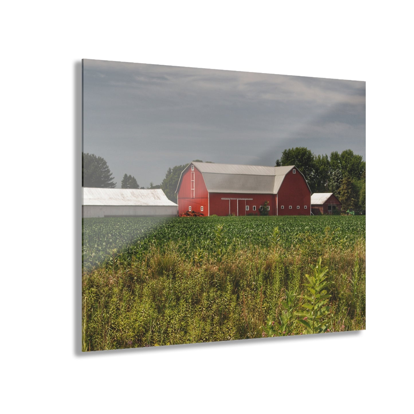 U R There Photography Townline Road Red Rustic Farmhouse Acrylic Wall Print