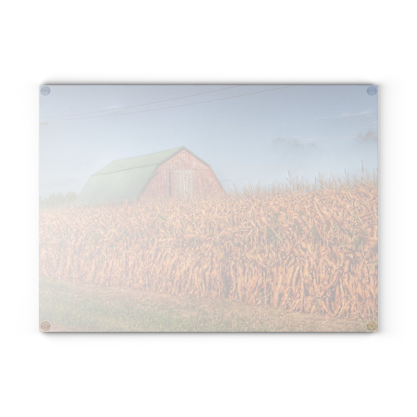 U R There Photography Beyond the Harvest Corn I Rustic Farmhouse Tempered-Glass Cutting Board