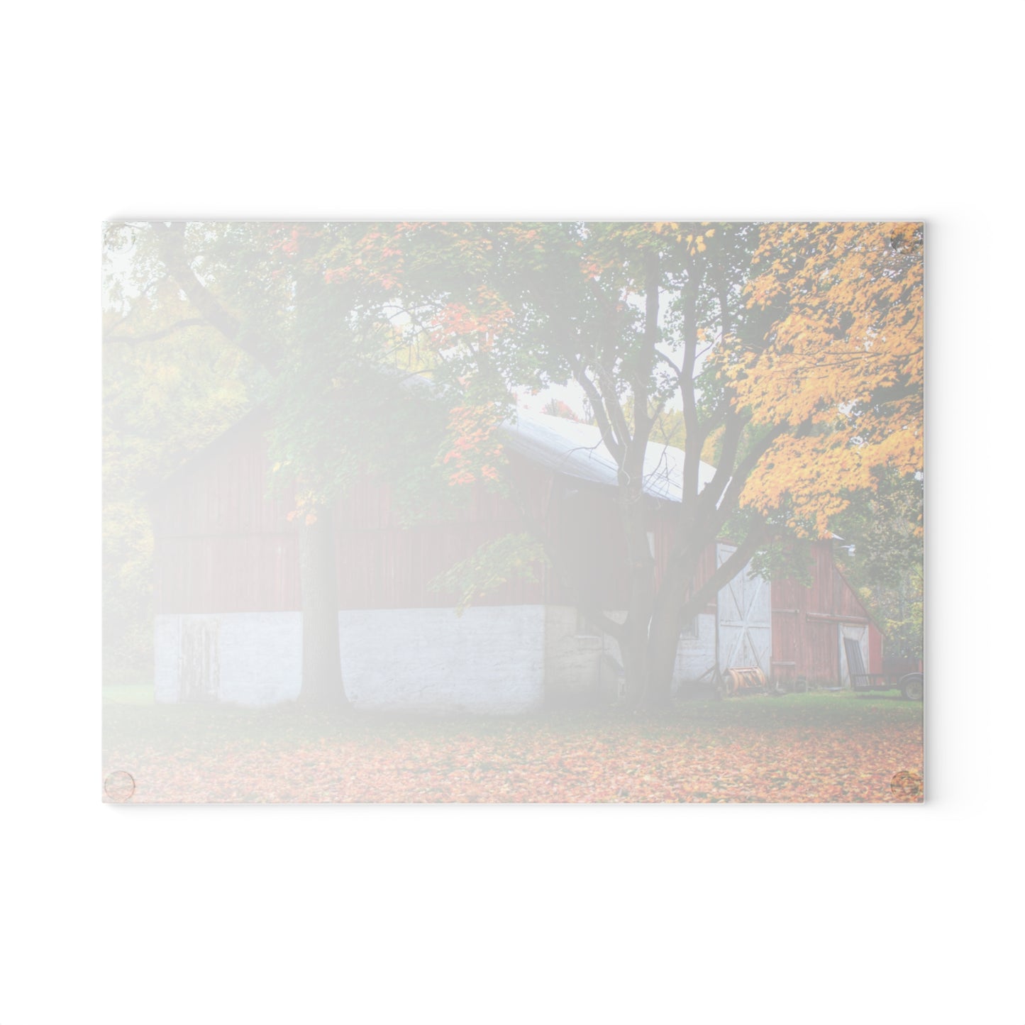 U R There Photography M-25 Red Rustic Farmhouse Tempered-Glass Cutting Board