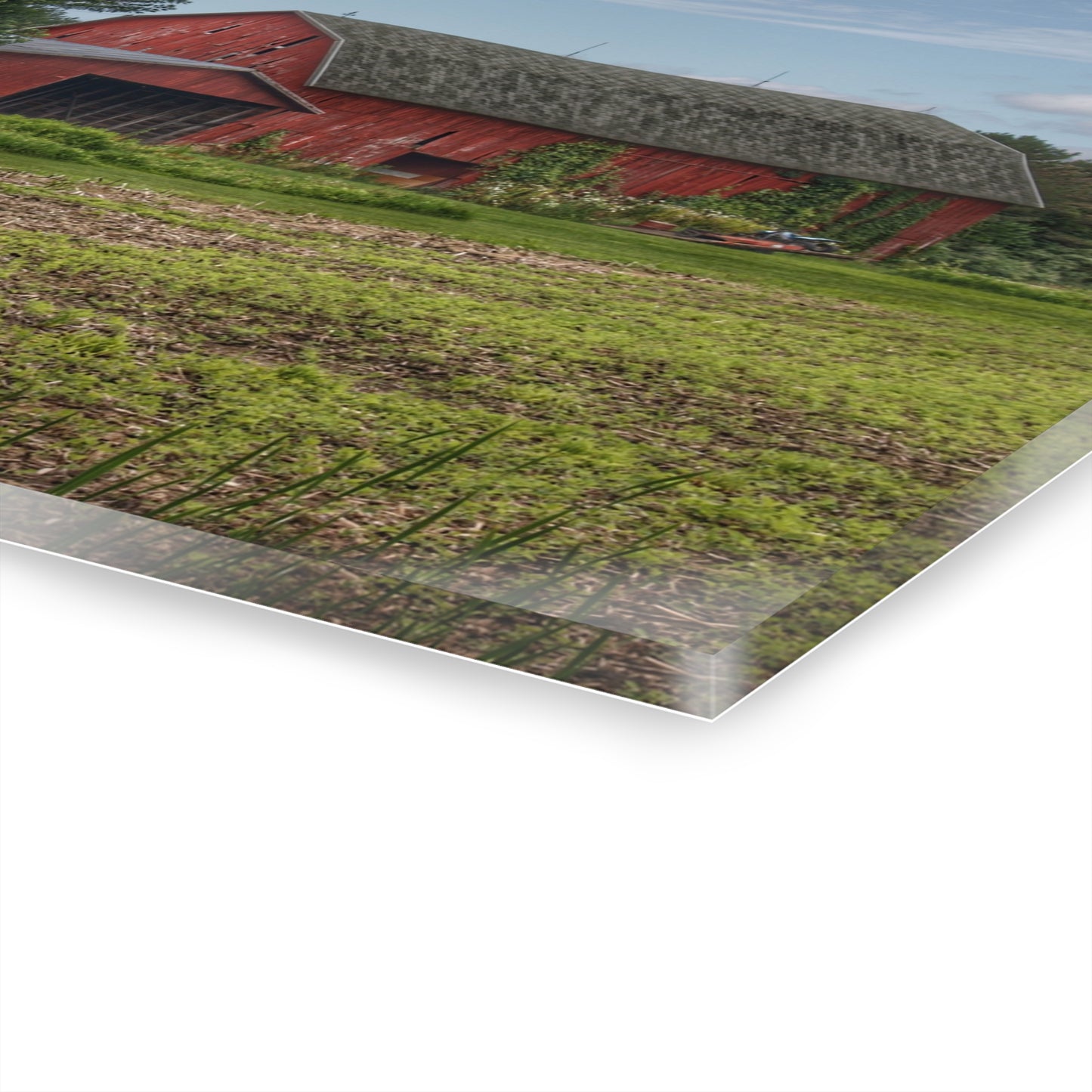 U R There Photography Murphy Lake Road Reds Rustic Farmhouse Acrylic Wall Print