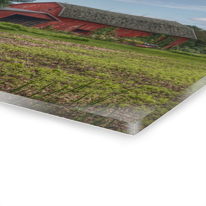 U R There Photography Murphy Lake Road Reds Rustic Farmhouse Acrylic Wall Print