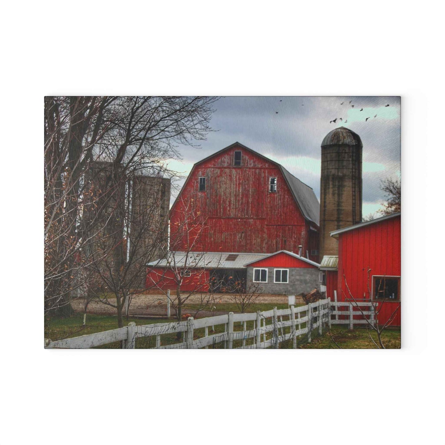 U R There Photography Peck Red Rustic Farmhouse Tempered-Glass Cutting Board