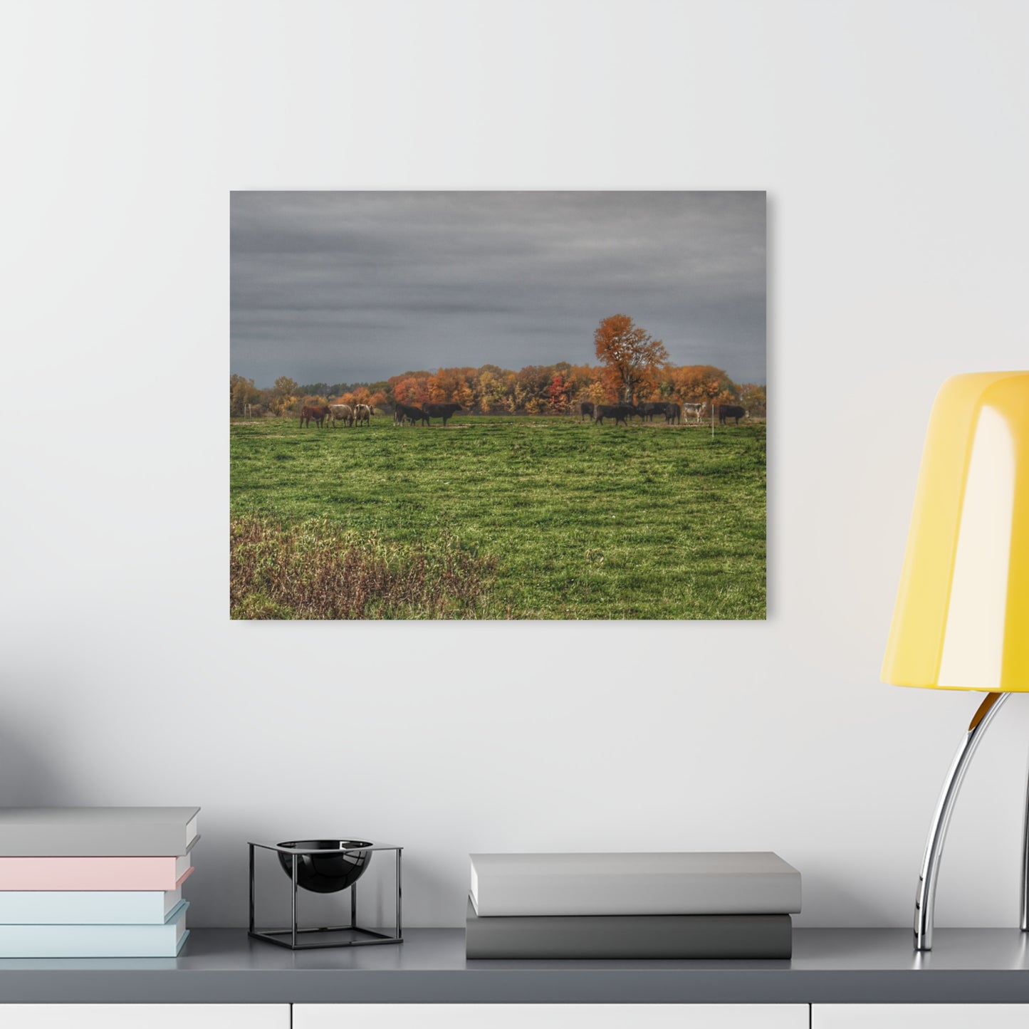 U R There Photography Oak Cows Rustic Farmhouse Acrylic Wall Print
