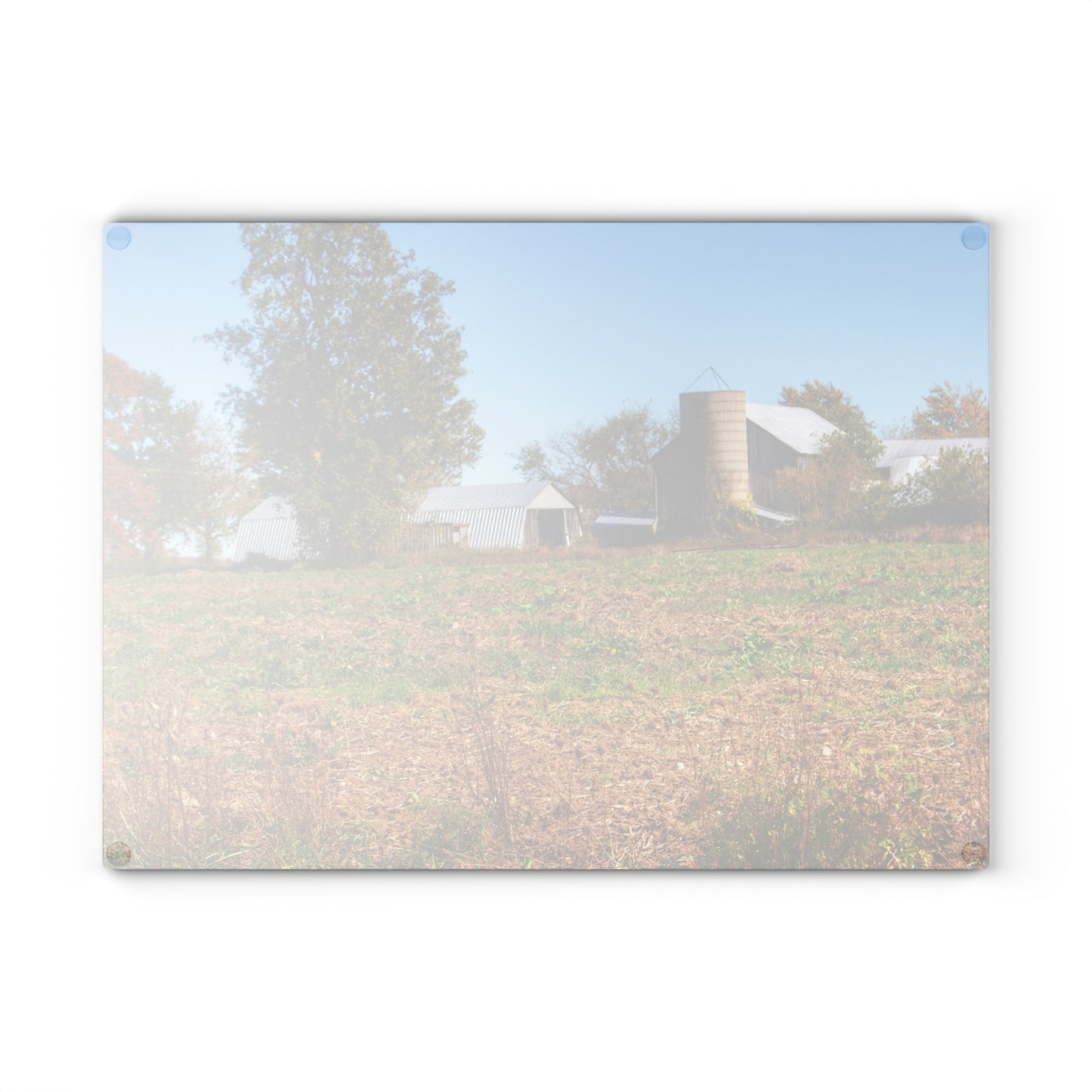 U R There Photography Freiberger Road Greys Rustic Farmhouse Tempered-Glass Cutting Board