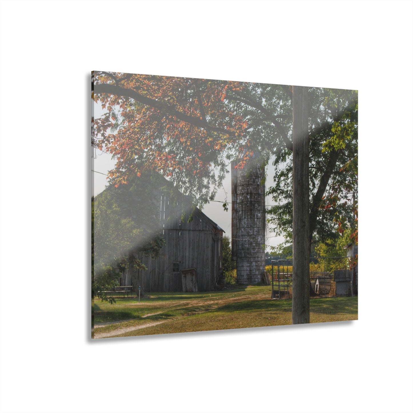 U R There Photography Hidden Grey of Tuscola Rustic Farmhouse Acrylic Wall Print