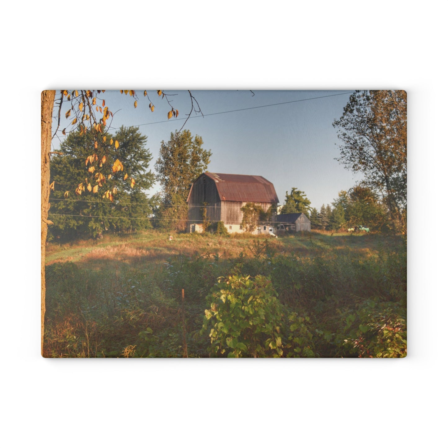 U R There Photography Swaffer Road Little Grey Rustic Farmhouse Tempered-Glass Cutting Board