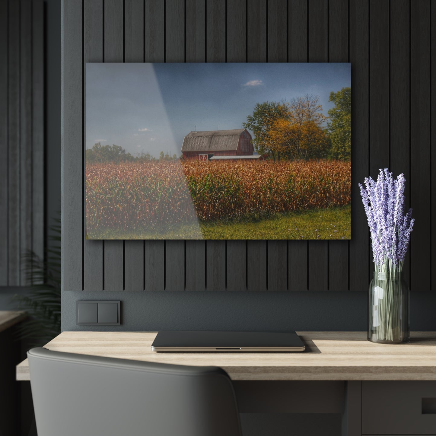 U R There Photography Clifford Road Red III Rustic Farmhouse Acrylic Wall Print