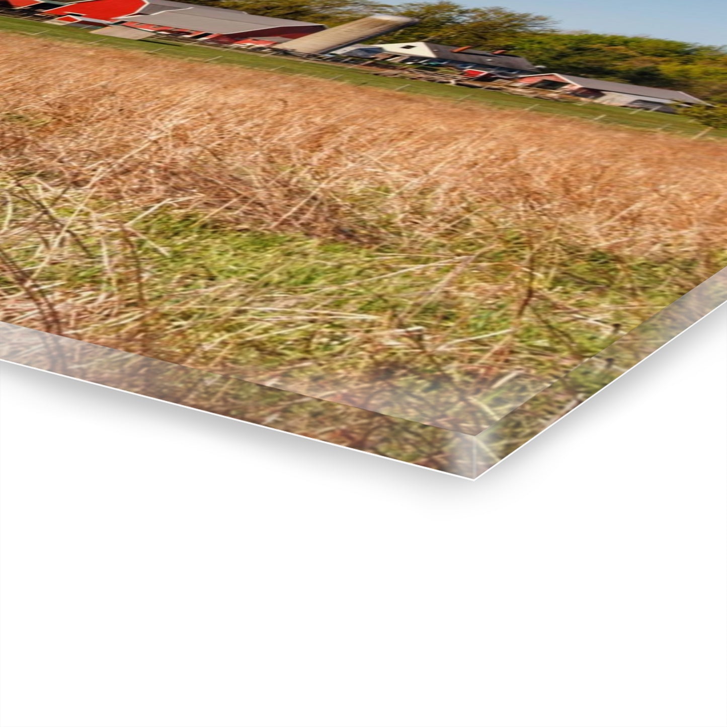 U R There Photography East Millington Road Farm Rustic Farmhouse Acrylic Wall Print