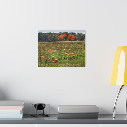 U R There Photography Once Upon a Time in a Pumpkin Patch Rustic Farmhouse Acrylic Wall Print