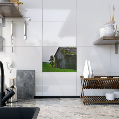 U R There Photography Caro Road Twin Grey I Rustic Farmhouse Decorative Ceramic Tile