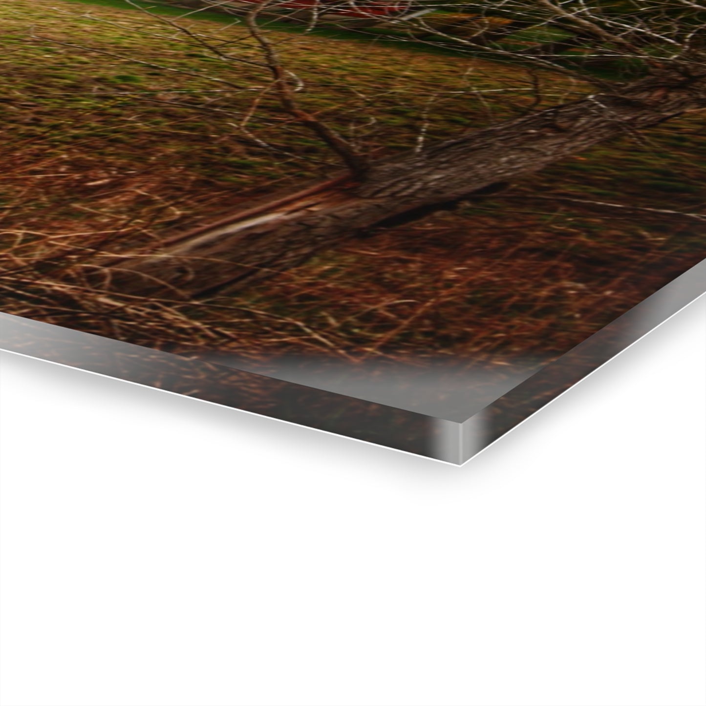 U R There Photography Fostoria Road Greys Rustic Farmhouse Acrylic Wall Print