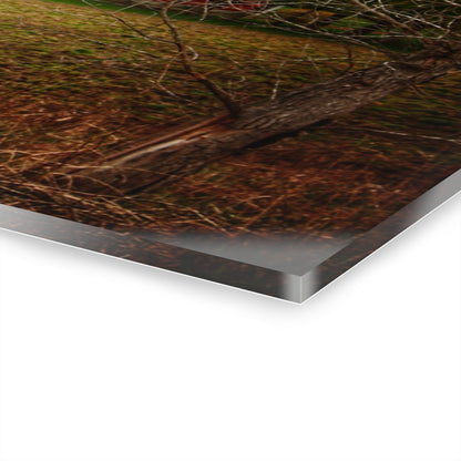 U R There Photography Fostoria Road Greys Rustic Farmhouse Acrylic Wall Print