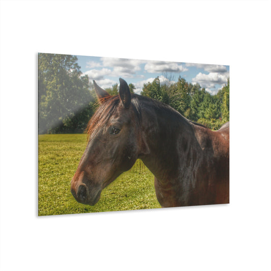 U R There Photography Brown Beauty I Rustic Farmhouse Acrylic Wall Print