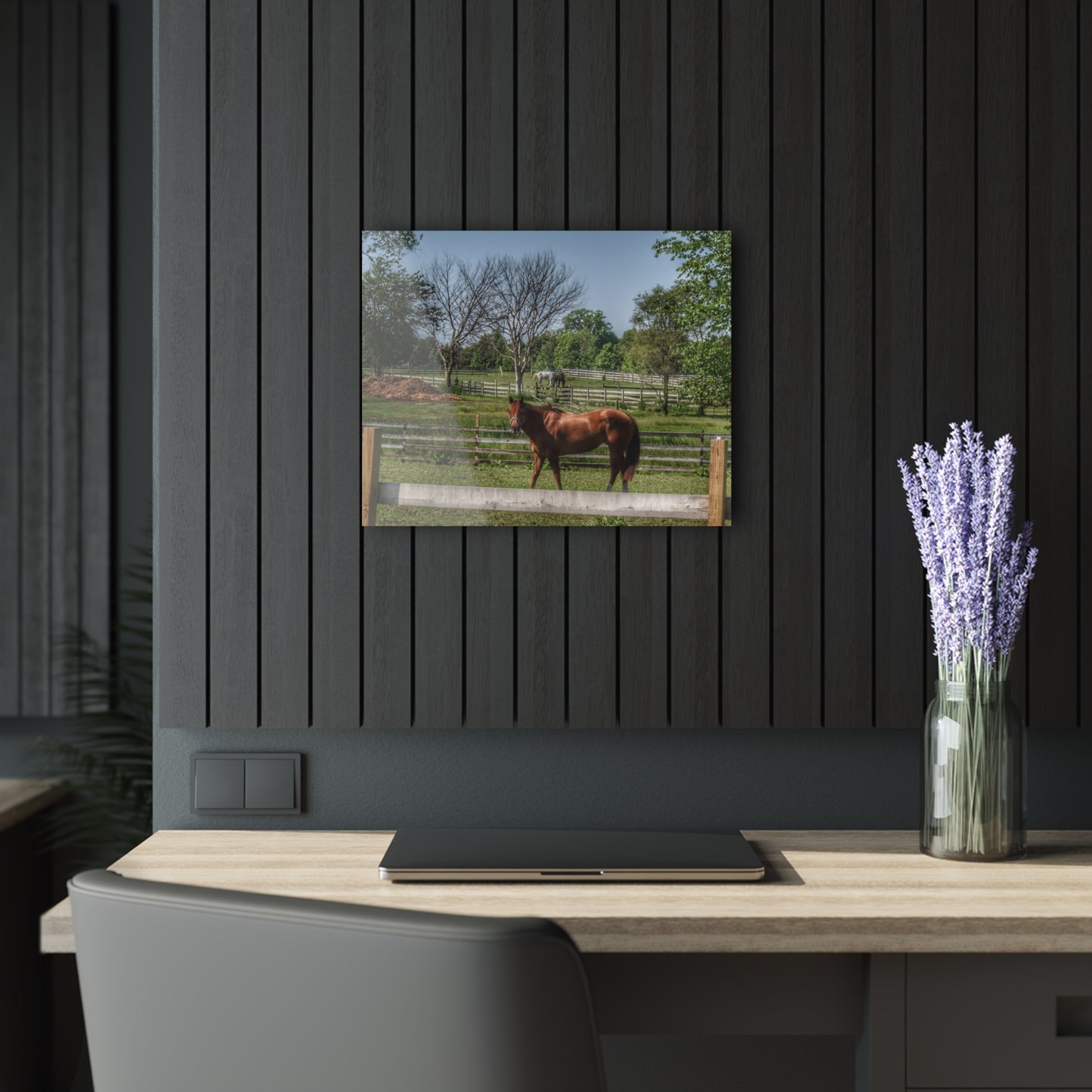 U R There Photography Summer Road Ponies Rustic Farmhouse Acrylic Wall Print