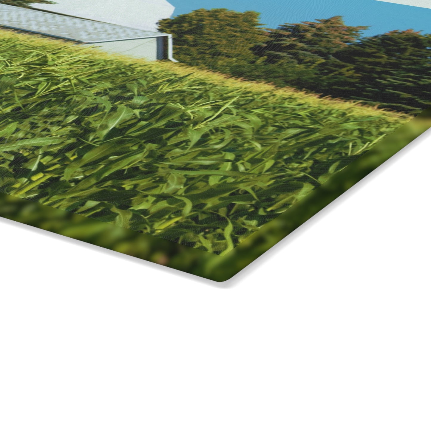 U R There Photography White Cornfield Barn Rustic Farmhouse Tempered-Glass Cutting Board