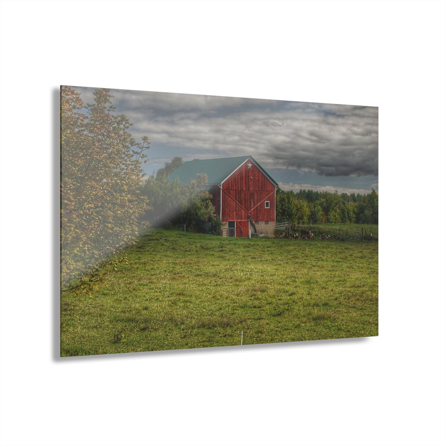 U R There Photography Kingston Plain Road Cow Barn Rustic Farmhouse Acrylic Wall Print