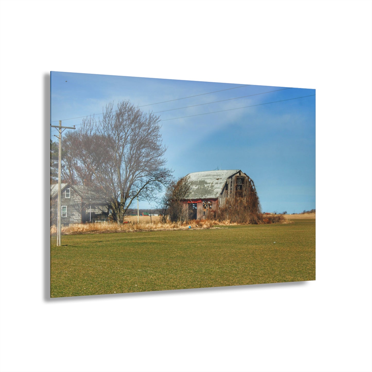 U R There Photography Bay City - Forestville Forgotten Grey Rustic Farmhouse Acrylic Wall Print