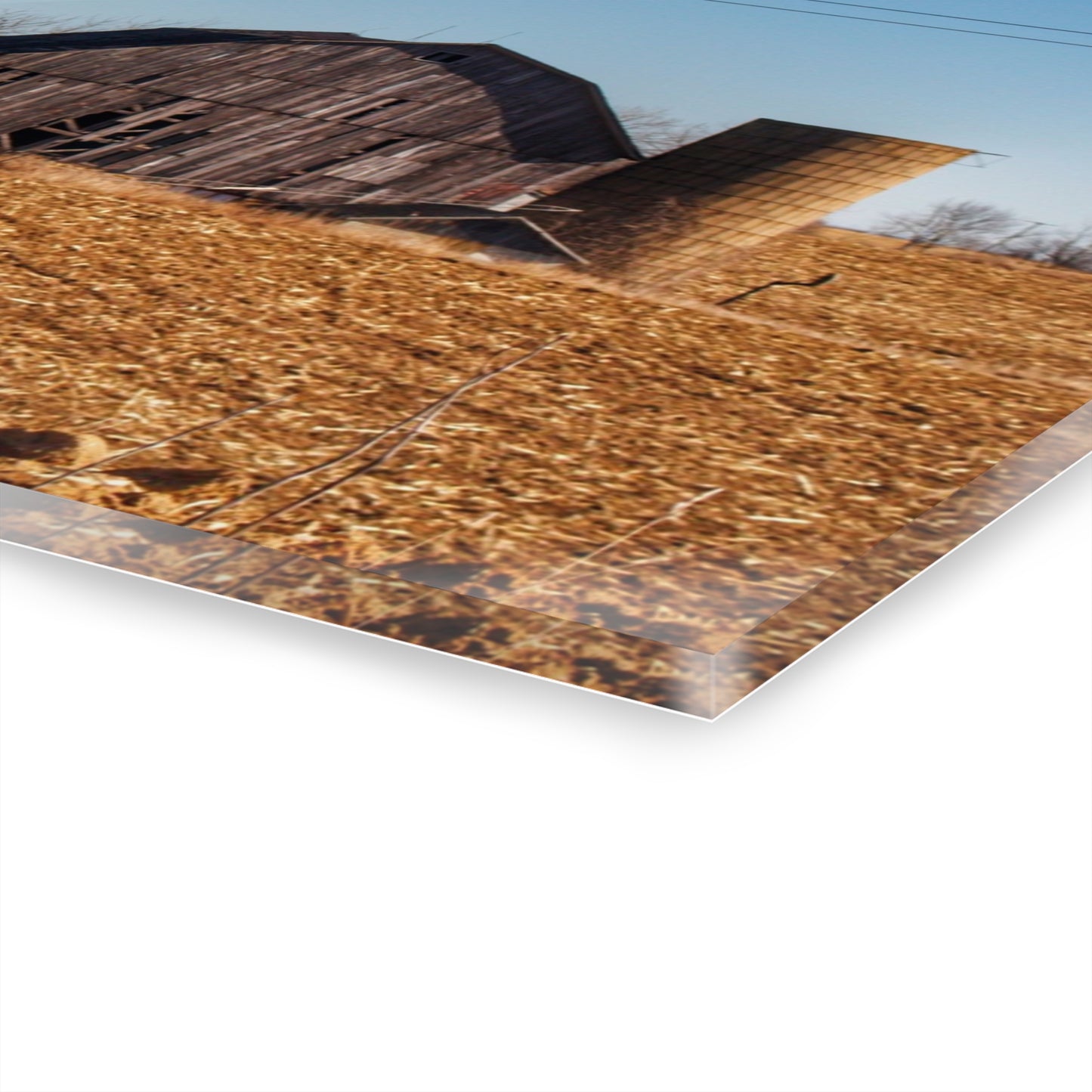 U R There Photography Hurds Corner Grey Rustic Farmhouse Acrylic Wall Print