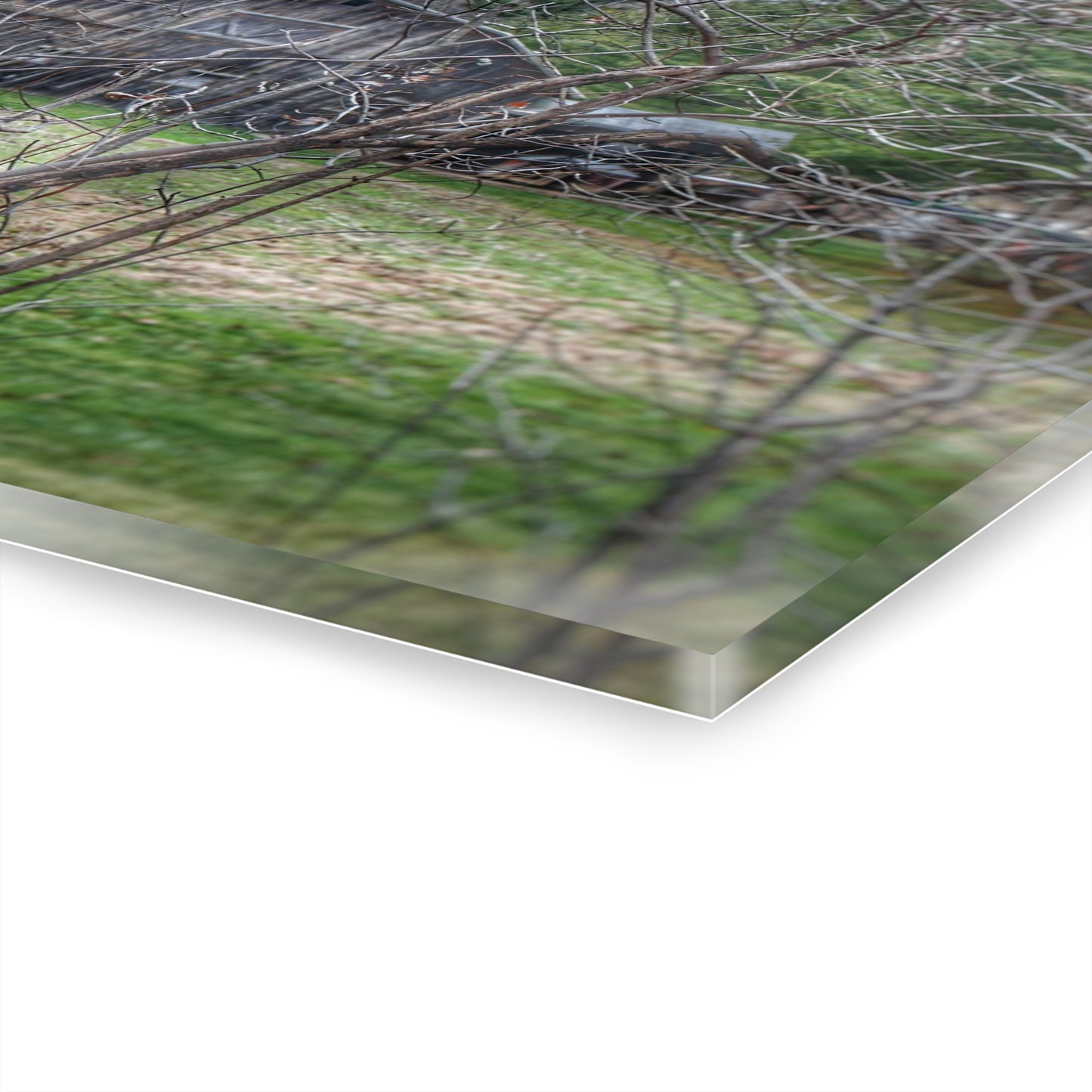 U R There Photography Hidden Capac Grey Rustic Farmhouse Acrylic Wall Print