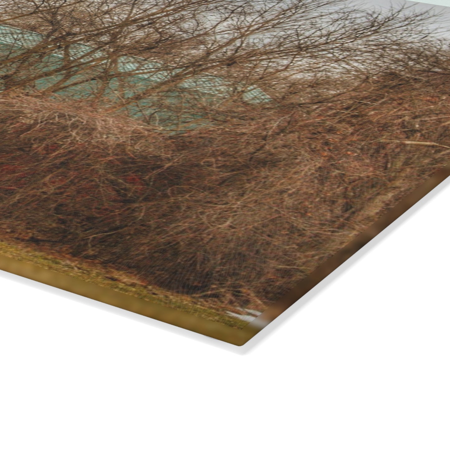 U R There Photography Bray Road Hidden Barnyard Red III Rustic Farmhouse Tempered-Glass Cutting Board