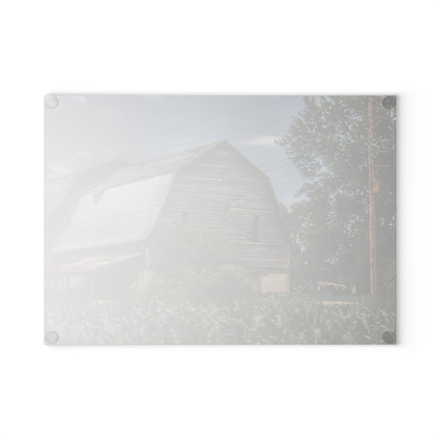 U R There Photography Murphy Lake Road Grey II Rustic Farmhouse Tempered-Glass Cutting Board