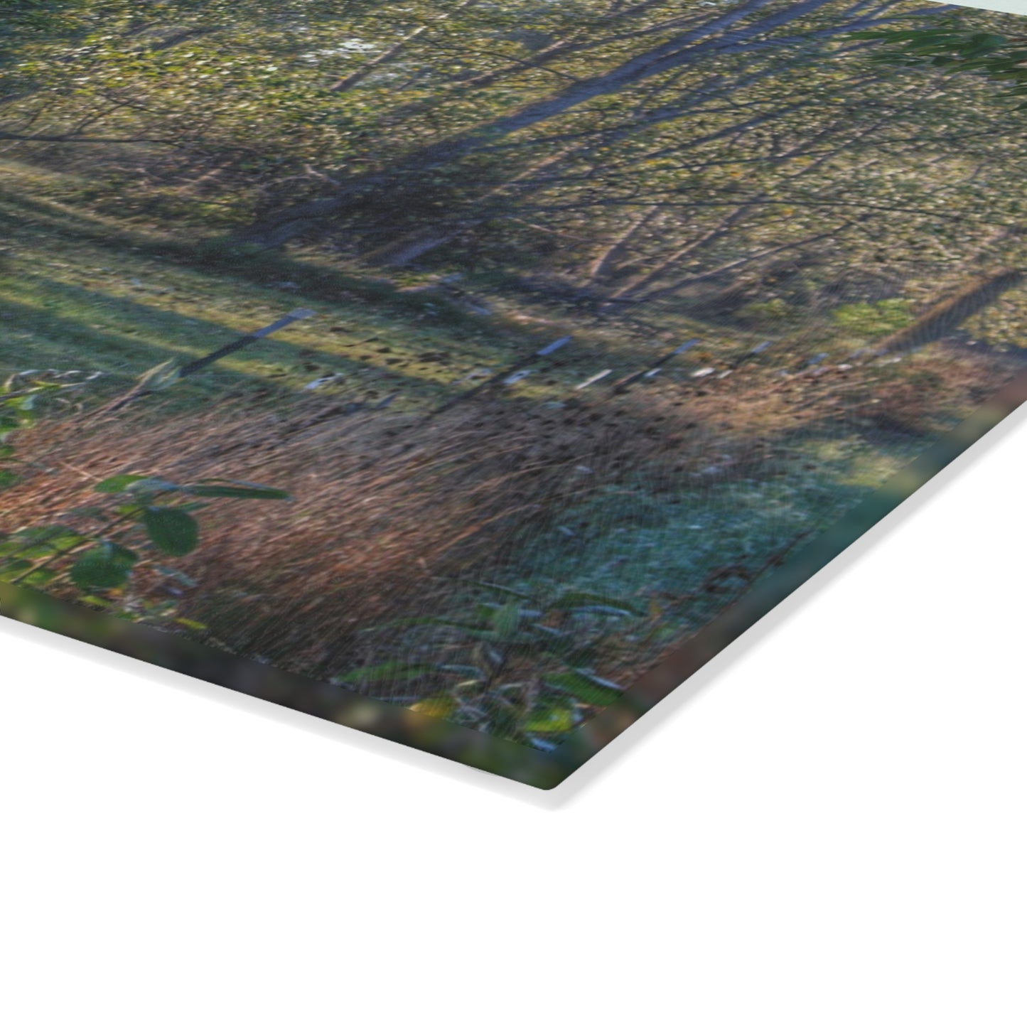 U R There Photography Chestnut Horse Among the Trees Rustic Farmhouse Tempered-Glass Cutting Board