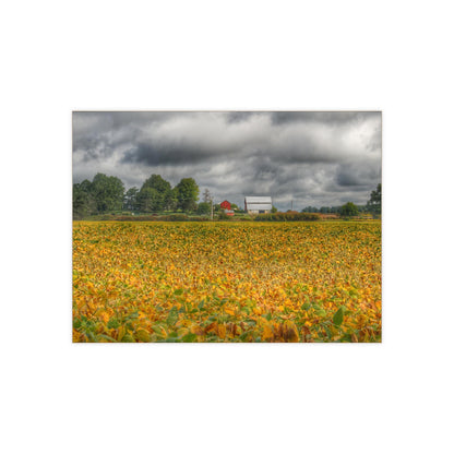 Barn Boutique Rustic Ceramic Wall Tile| Golden Fields Farm