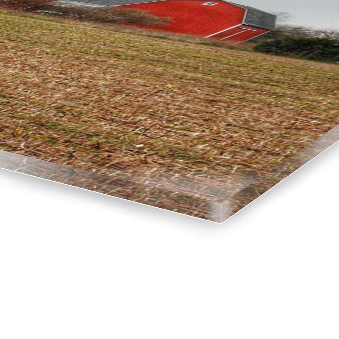 U R There Photography Kidder Road Reds Rustic Farmhouse Acrylic Wall Print